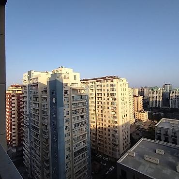Квартиры: 1 комната, Новостройка, 31 м² — 8