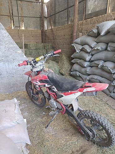 кытай мото: Питбайк/кроссовый мотоцикл MXF KRZ (80–125 см³) - Формат: легкий — 1