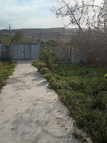 yasil ada nabran: 5 otaqlı, 137 kv. m, Kredit yoxdur, Yeni təmirli — 3