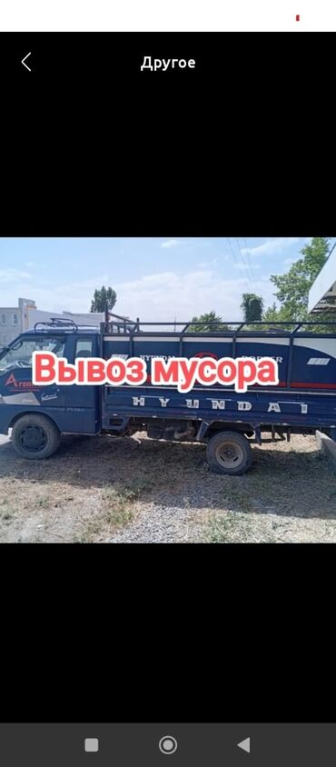 кролик купить декоративный: Вывоз мусора вывоз мусора вывоз мусора Вывоз мусора вывоз мусора вывоз
