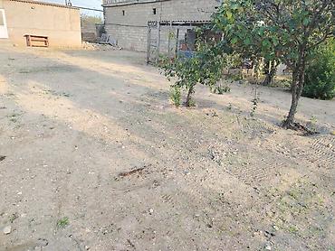 5 sot, Kupça (Çıxarış)