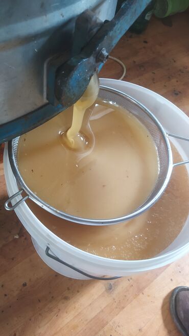 мясо баранина бишкек: Продам мёд оптом (горно-полевой) Нарын
