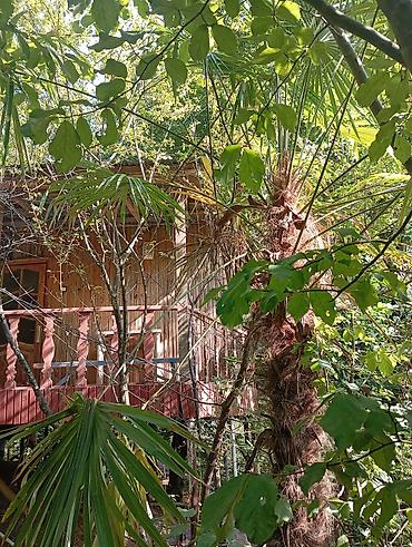 Günlük kirayə evlər: Masalli rayonu. İsti su istirahet merkezine yaxin. Turan restoranina — 20
