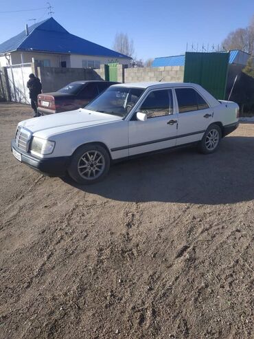 Mercedes-Benz: Mercedes-Benz W124: 1987 г., 2.3 л, Механика, Бензин, Седан