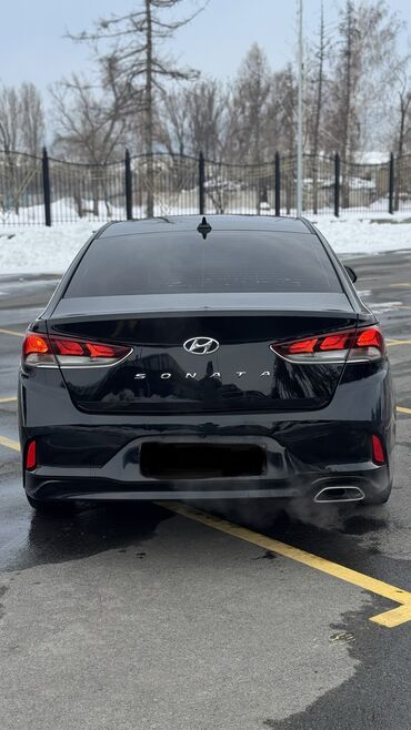 Hyundai: Hyundai Sonata: 2018 г., 2 л, Автомат, Газ, Седан — 4