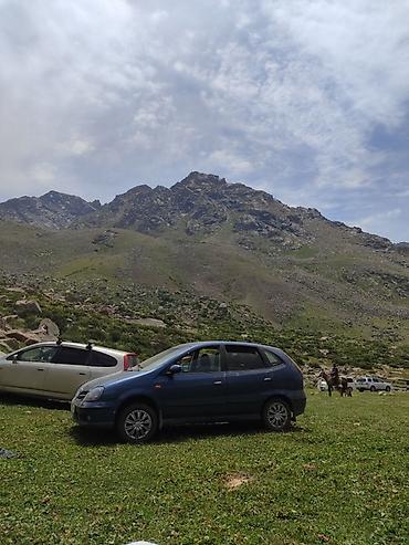 расходомер ниссан: Nissan Almera: 2001 г., 1.8 л, Механика, Бензин, Хэтчбэк — 4