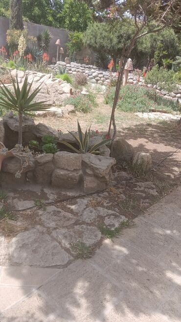 baqban işi: Bağlarda seluqə sehman işleri agaclarin budanmasi dermanlanmasi