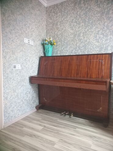 Гитары: Oktava piano.
3 pedallı