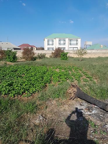 Torpaq sahələrinin satışı: 10 sot, Tikinti, Mülkiyyətçi, Kupça (Çıxarış) — 9