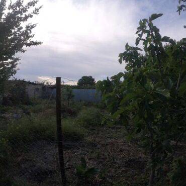 Həyət evləri və villaların satışı: 2 otaqlı, 60 kv. m, Kredit yoxdur, Orta təmir — 14