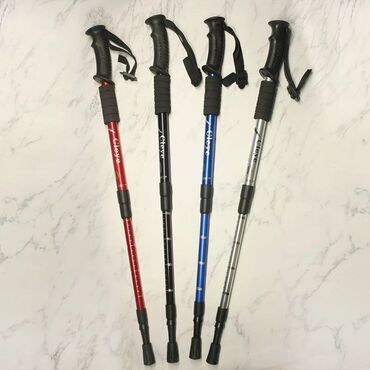 Спортивная форма: Скандинавские палки на прокат треккинговые палки в аренду палочки для