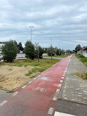 20 ci sahədə satilan evlər: Buzovna 5 otaqlı, 1150 kv. m, Kredit var, Yeni təmirli — 4