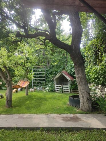 Продажа домов: Дача, 65 м², 4 комнаты, Собственник, Евроремонт — 13