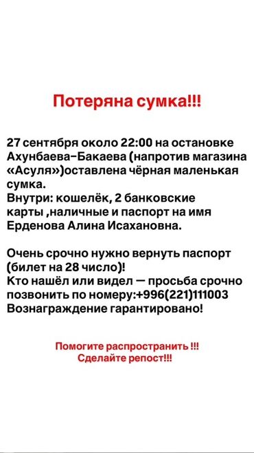 лоток для собак: Объявление: розыск черной маленькой сумки. Описание: - Дата и время