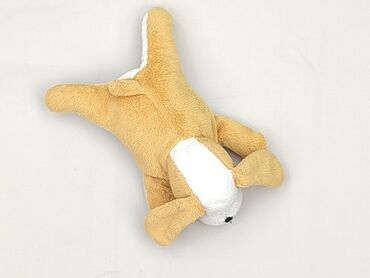 Mascot Dog, condition - Perfect