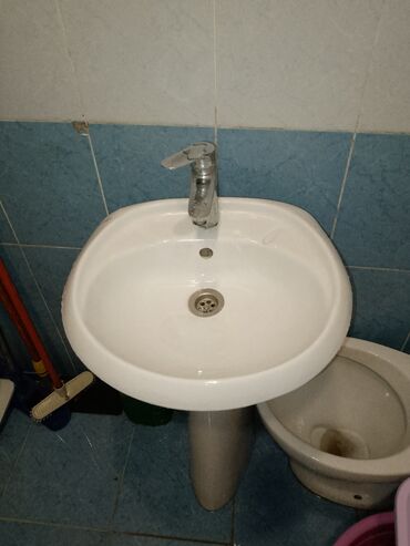 tülpan şəkilləri: Çanaqlar, tülpanlar