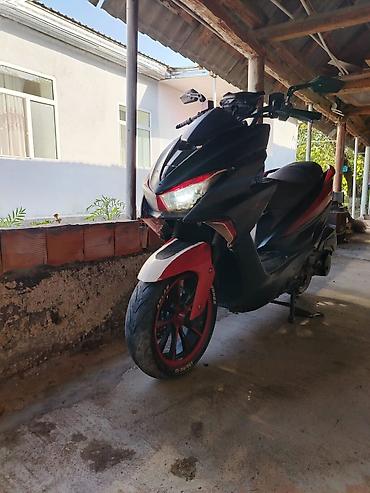 skuter samokat: Telefon ile de Barter var deyerinde yaxud uste pul vermekle) Sport — 1