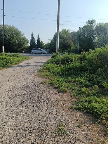 1 комната квартира снять: Sabirabad rayon Şıxsalahlı kəndində yerləşir Obyek kürqıarağ yol — 5