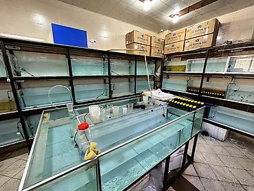 caravan satışı: Satılır obyekt 65 m², Neftçilər m. 142 000 AZN 65 m² Sahə Çıxarış — 2