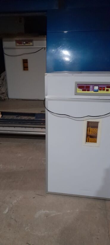 İnkubatorlar: 5000 yumurta, Azərbaycan, Tam avtomat, Bütün növ quşlaq üçün, Zəmanət ilə — 25