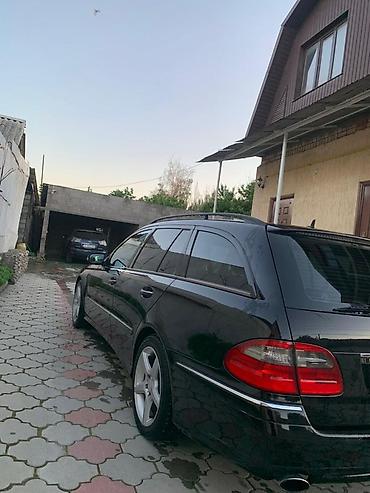 mercedes e500: Mercedes-Benz E-Class: 2008 г., 3 л, Автомат, Дизель, Универсал — 5