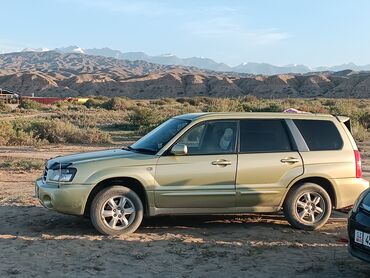 subaru forester куплю: Subaru Forester: 2002 г., 2 л, Автомат, Бензин, Внедорожник