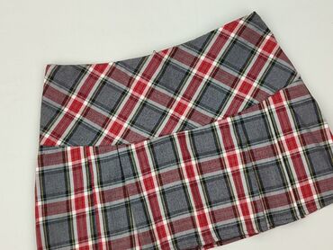 zalando plisowane spódnice: Women`s skirt, L (EU 40)