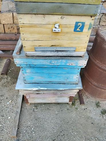 arı yuvası: Taxta material.İşlənmiş arı yuvaları.Qiymət razılaşma yolu ilə.Tək-tək — 1
