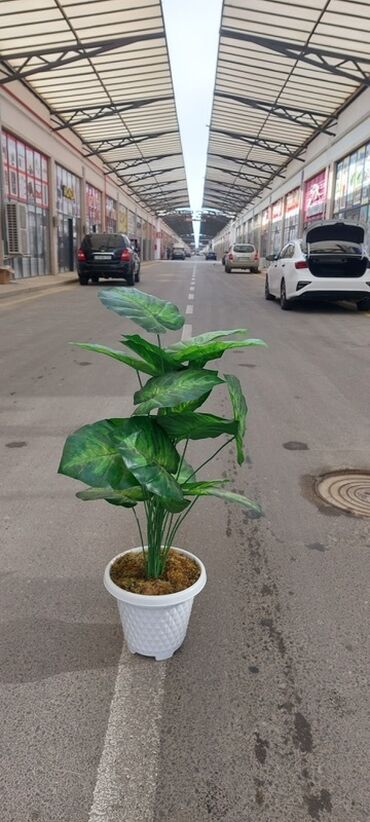 Süni güllər: Dekorativ süni ağaclar dəsti - Model 1: Varlıqlı yarpaqlı dekorativ — 15