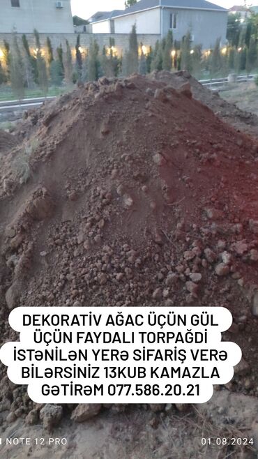 alca sekilleri: Qara torpaq i̇smayıllı, şamaxı, mərəzə rayonları ərazisindən istəyə