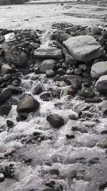 Bağ evlərinin kirayəsi: Dağ mənzərəli kirayə dağ evi / kənd evi - Təbii meşəliklərlə əhatəli — 11