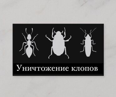 уничтожение клопов блох тараканов: Дезинфекциялоо, дезинсекциялоо | Канталалар, Бүргөлөр, Таракандар | Транспорт, Офистер, Батирлер