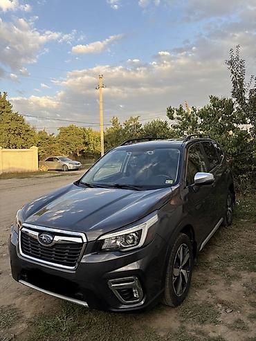 forester 2008: Subaru Forester: 2020 г., 2.5 л, Автомат, Бензин, Кроссовер — 1
