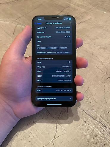 Apple iPhone: IPhone 12 Pro Max, Б/у, 256 ГБ, Серебристый, Защитное стекло, Чехол, 100 % — 7