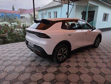 авто проект: Changan Qiyuan Q05: 2026 г., Электромобиль, Кроссовер — 5