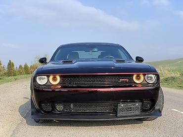 dod: Dodge Challenger: 2014 г., 3.6 л, Автомат, Бензин, Купе — 8