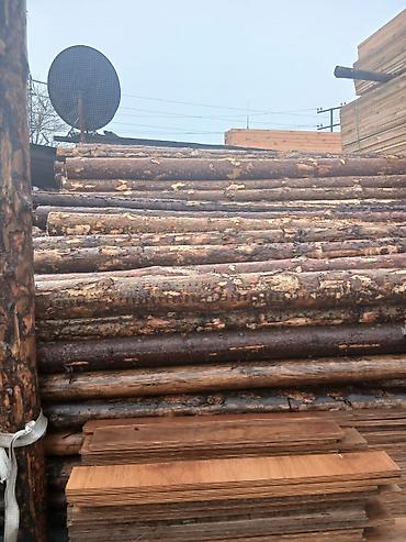 şam: Məhsul: Şam ağacından yumru dirəklər və taxta materialları Təsvir: - — 5