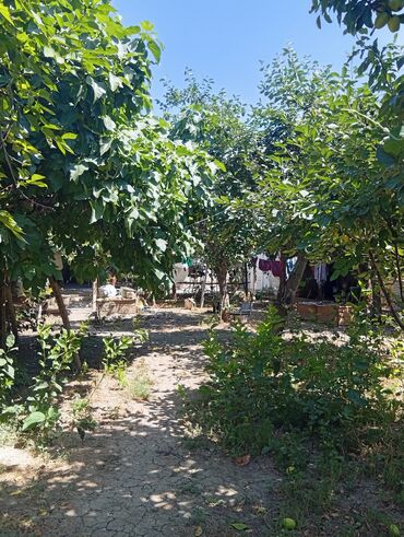 Həyət evləri və villaların satışı: 4 otaqlı, 80 kv. m, Kredit yoxdur, Orta təmir — 16