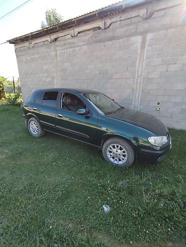 w211 e270: Nissan Almera Tino: 2001 г., 1.8 л, Автомат, Бензин, Хэтчбэк — 5