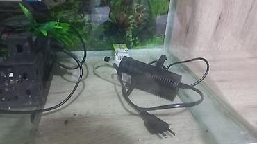 akvariumlar: Dördbucaq akvarium, Boş, 135 l, Ünvandan götürmə — 8
