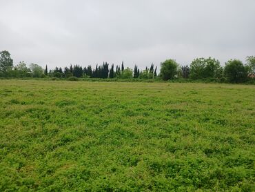 купить дом в ханкенди: 1200 sot, Kənd təsərrüfatı, Makler, Kupça (Çıxarış)