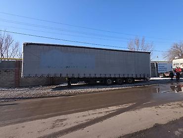 Прицепы и полуприцепы: Прицеп, Schmitz Cargobull, Тентованный, от 12 т, Б/у — 1