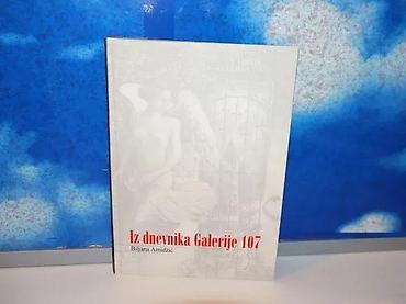 casio zeleni sat: Iz dnevnika Galerije 107 Biljana AmidžićFinkom, 2002g279 strana24 cm — 1