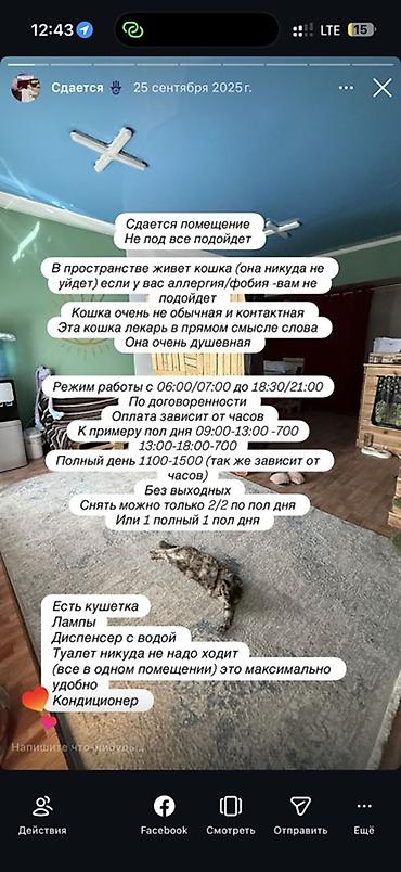 псо кв: Сдается уютное помещение для работы мастеров и телесных практик — 2