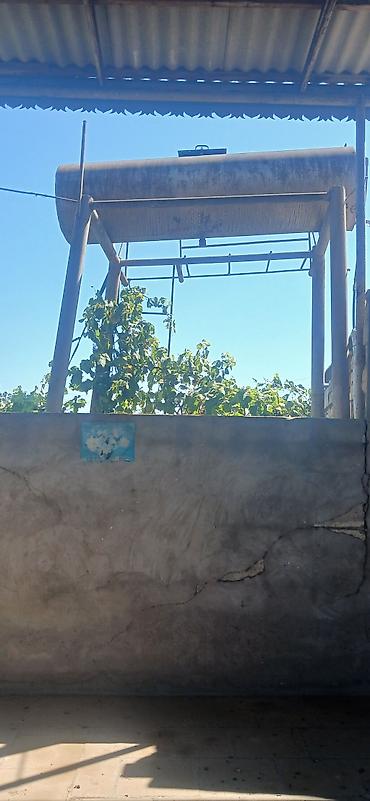 киндер осд в баку: Su cəni satılır çox qalın stekası var ayaqları ilə birlikdədə satılır — 1