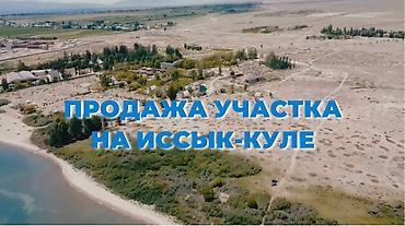 900: 2922 соток, Для бизнеса, Красная книга, Тех паспорт — 4