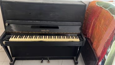 Qulaqcıqlar: Musiqi mərkəzləri