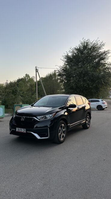 я ищу хонда срв: Honda CR-V: 2019 г., 1.5 л, Вариатор, Бензин, Кроссовер