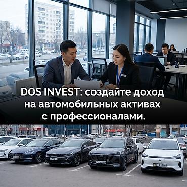 Готовый бизнес: DOS INVEST • Бишкек — профессиональные решения для дохода на — 3