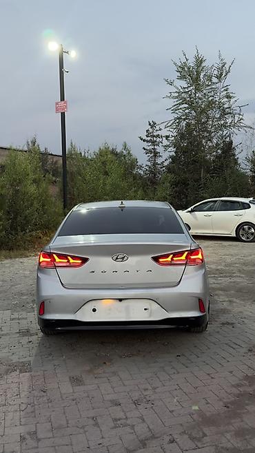 sonata 2004: Hyundai Sonata: 2019 г., 2 л, Автомат, Газ, Седан — 5
